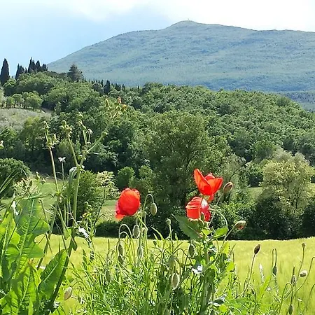 Podere Lamaccia Bed & Breakfast Cetona